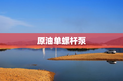 原油单螺杆泵