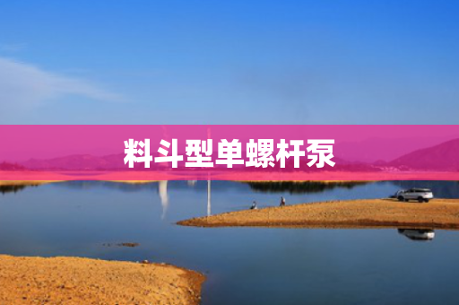 料斗型单螺杆泵