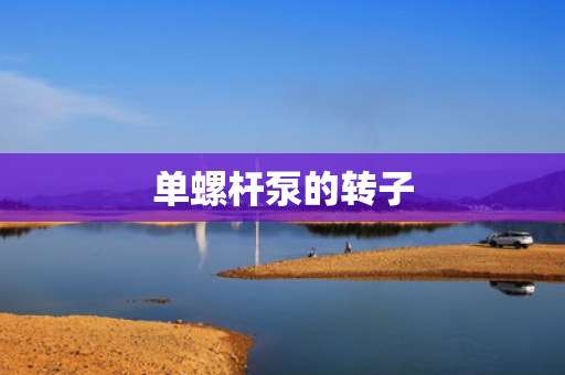 单螺杆泵的转子