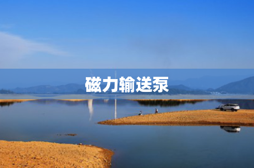 磁力输送泵