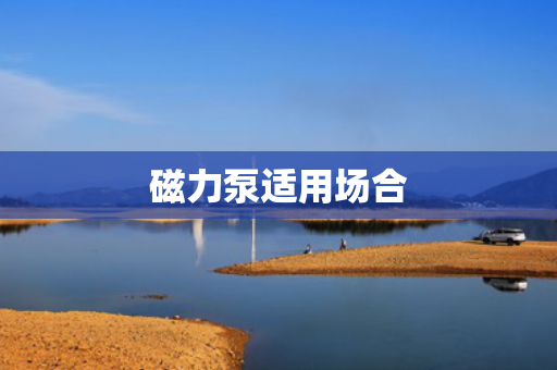 磁力泵适用场合