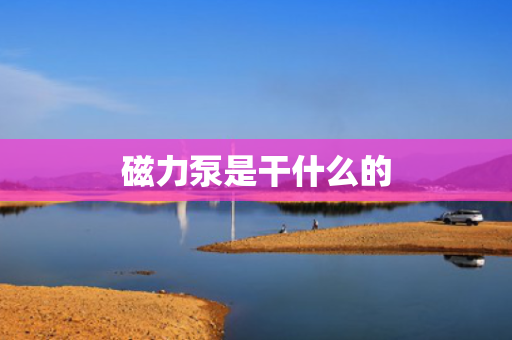 磁力泵是干什么的