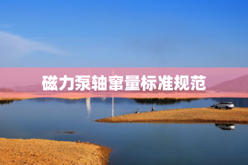 磁力泵轴窜量标准规范