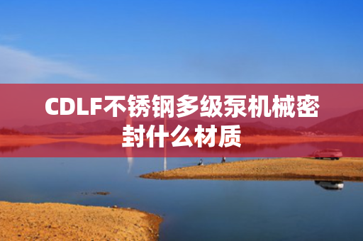 CDLF不锈钢多级泵机械密封什么材质