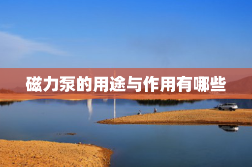 磁力泵的用途与作用有哪些