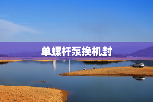 单螺杆泵换机封