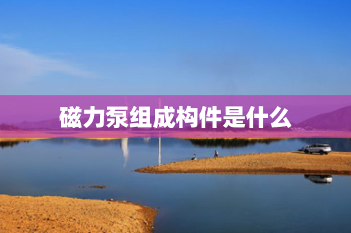 磁力泵组成构件是什么