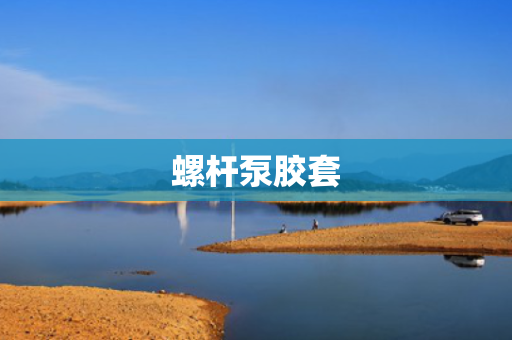 螺杆泵胶套