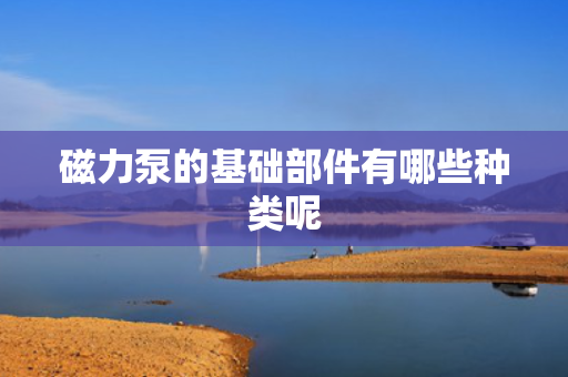 磁力泵的基础部件有哪些种类呢