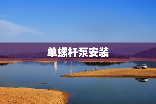单螺杆泵安装