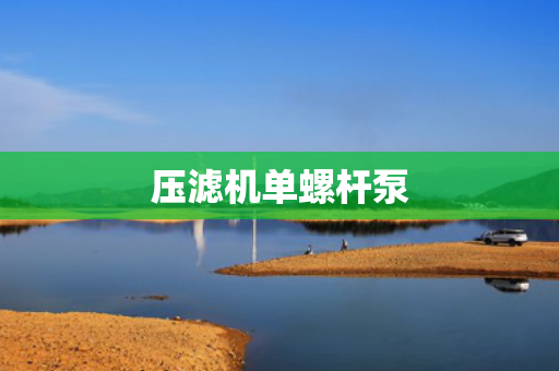 压滤机单螺杆泵
