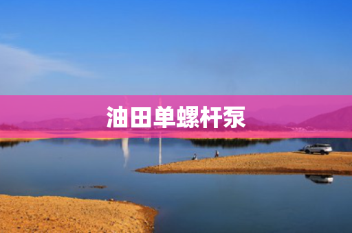 油田单螺杆泵