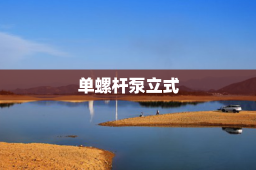 单螺杆泵立式