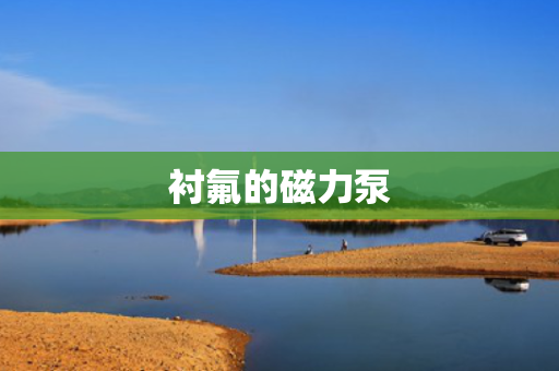 衬氟的磁力泵