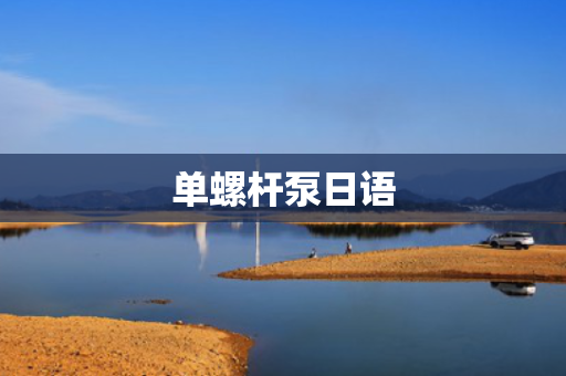 单螺杆泵日语