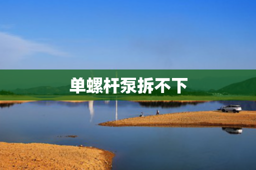 单螺杆泵拆不下