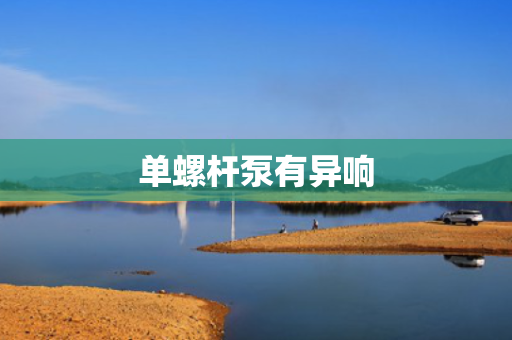 单螺杆泵有异响