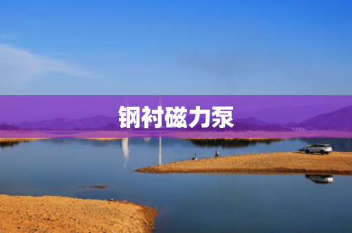 钢衬磁力泵