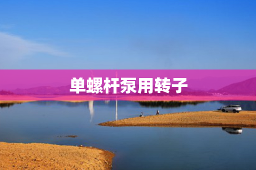 单螺杆泵用转子