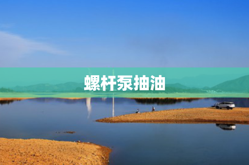 螺杆泵抽油