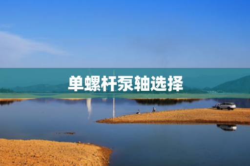 单螺杆泵轴选择