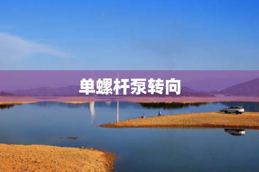 单螺杆泵转向