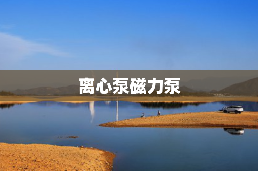 离心泵磁力泵