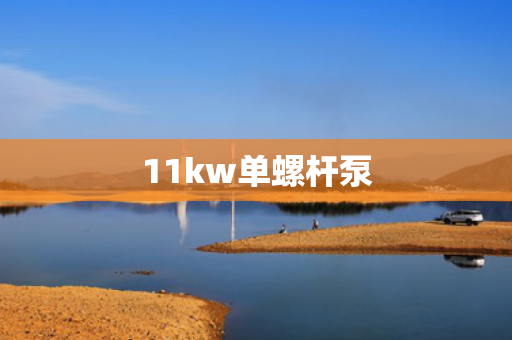 11kw单螺杆泵