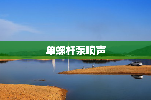 单螺杆泵响声