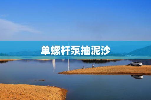 单螺杆泵抽泥沙