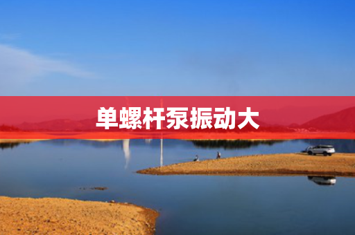 单螺杆泵振动大