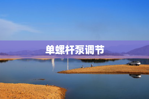 单螺杆泵调节