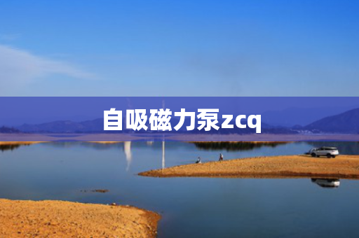 自吸磁力泵zcq