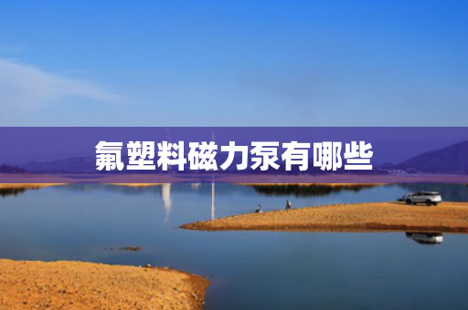 氟塑料磁力泵有哪些