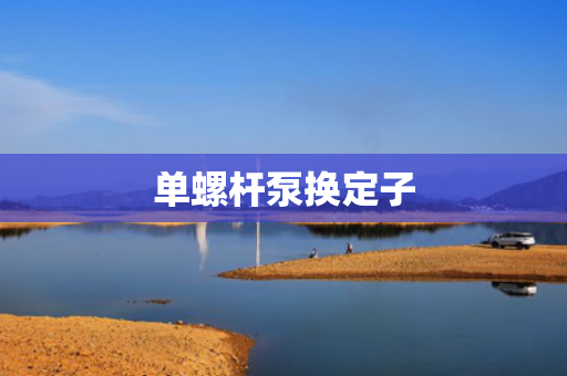 单螺杆泵换定子