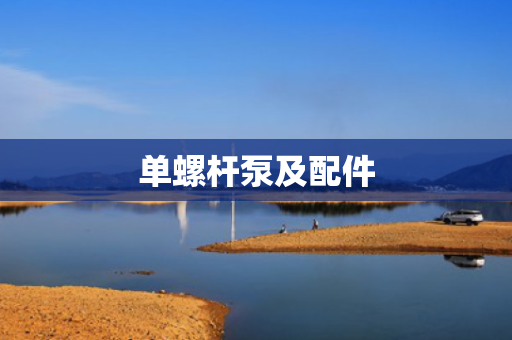 单螺杆泵及配件