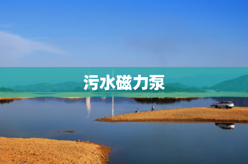 污水磁力泵