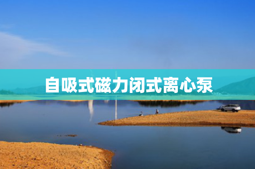 自吸式磁力闭式离心泵