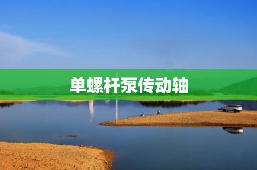 单螺杆泵传动轴