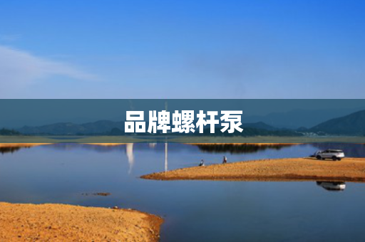 品牌螺杆泵