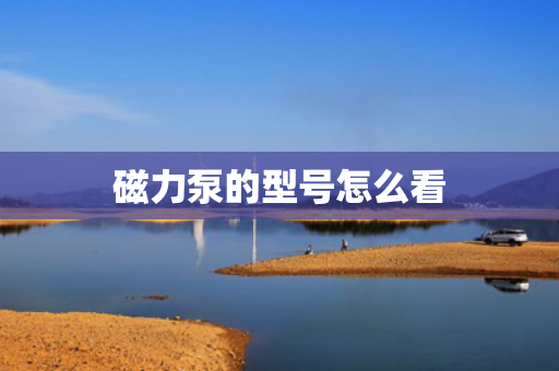 磁力泵的型号怎么看