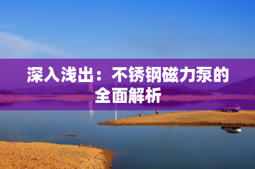 深入浅出：不锈钢磁力泵的全面解析