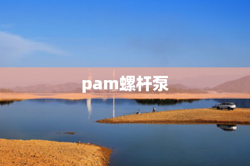 pam螺杆泵