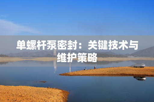 单螺杆泵密封：关键技术与维护策略