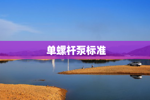  单螺杆泵标准