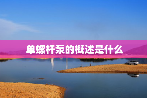  单螺杆泵的概述是什么