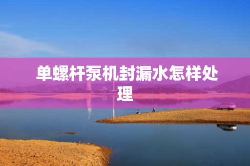  单螺杆泵机封漏水怎样处理