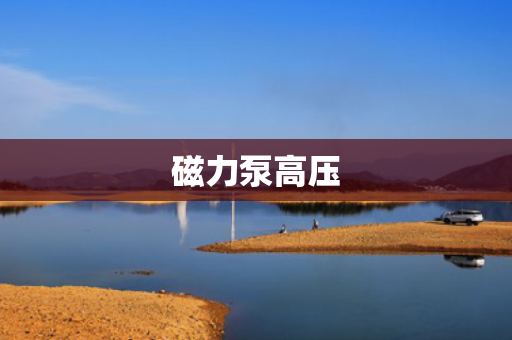 磁力泵高压