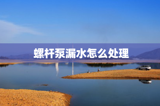  螺杆泵漏水怎么处理