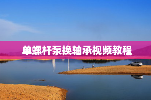  单螺杆泵换轴承视频教程